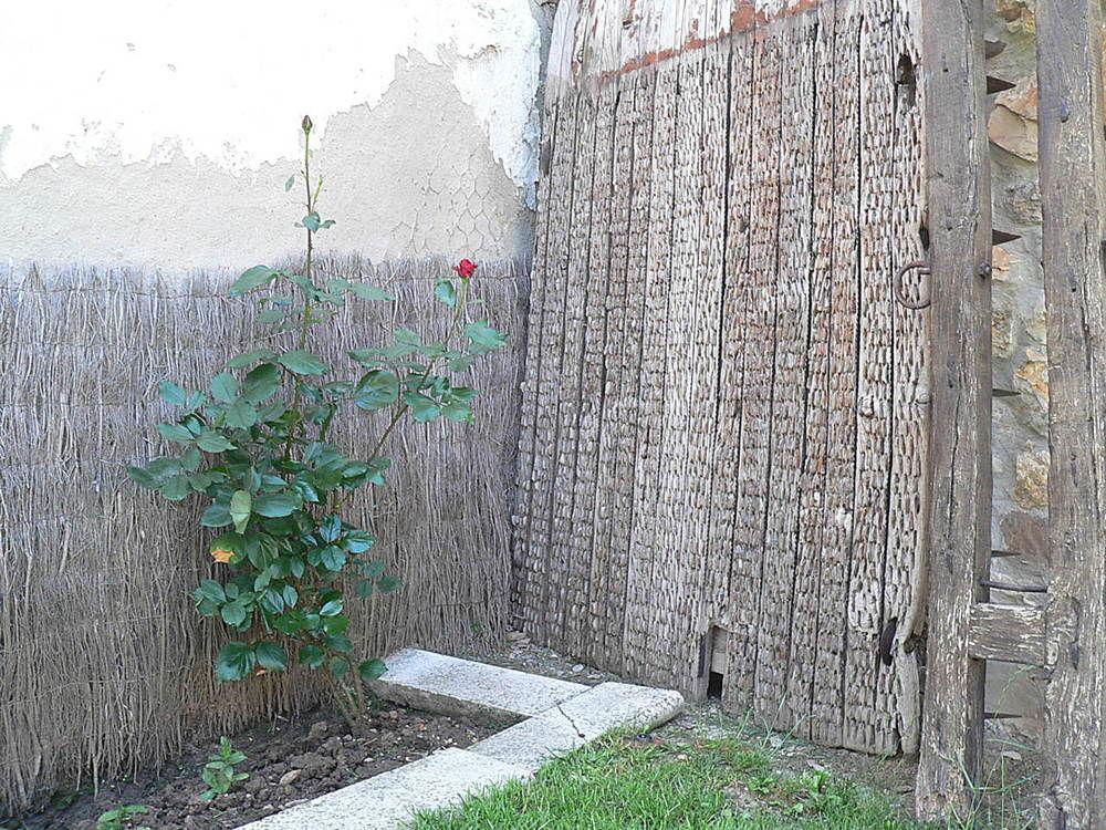 Affittacamere Majada Palentina Villanueva de Arriba Esterno foto